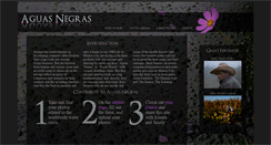 Desktop Screenshot of aguasnegras.glocalstories.org